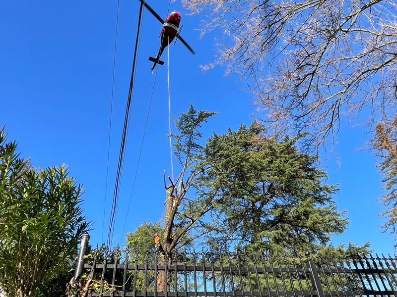BrightView Removes Compromised Trees Via Helicopter in California
